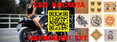 спиды Гай