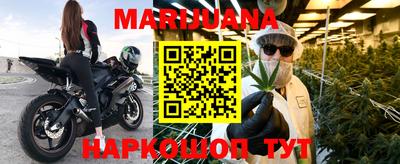 спиды Гай