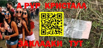 спиды Гай
