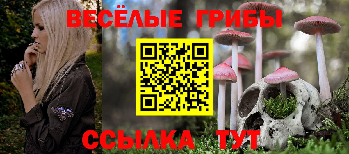 Псилоцибиновые грибы Psilocybe  Вход с VPN  Псилоцибиновые грибы Cubensis  Нурлат 
